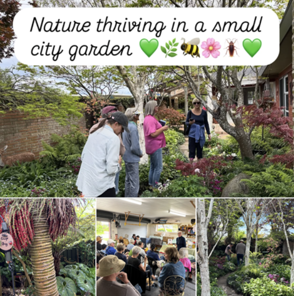 Screen Shot 2025 11 17 at 10.30.47 AM